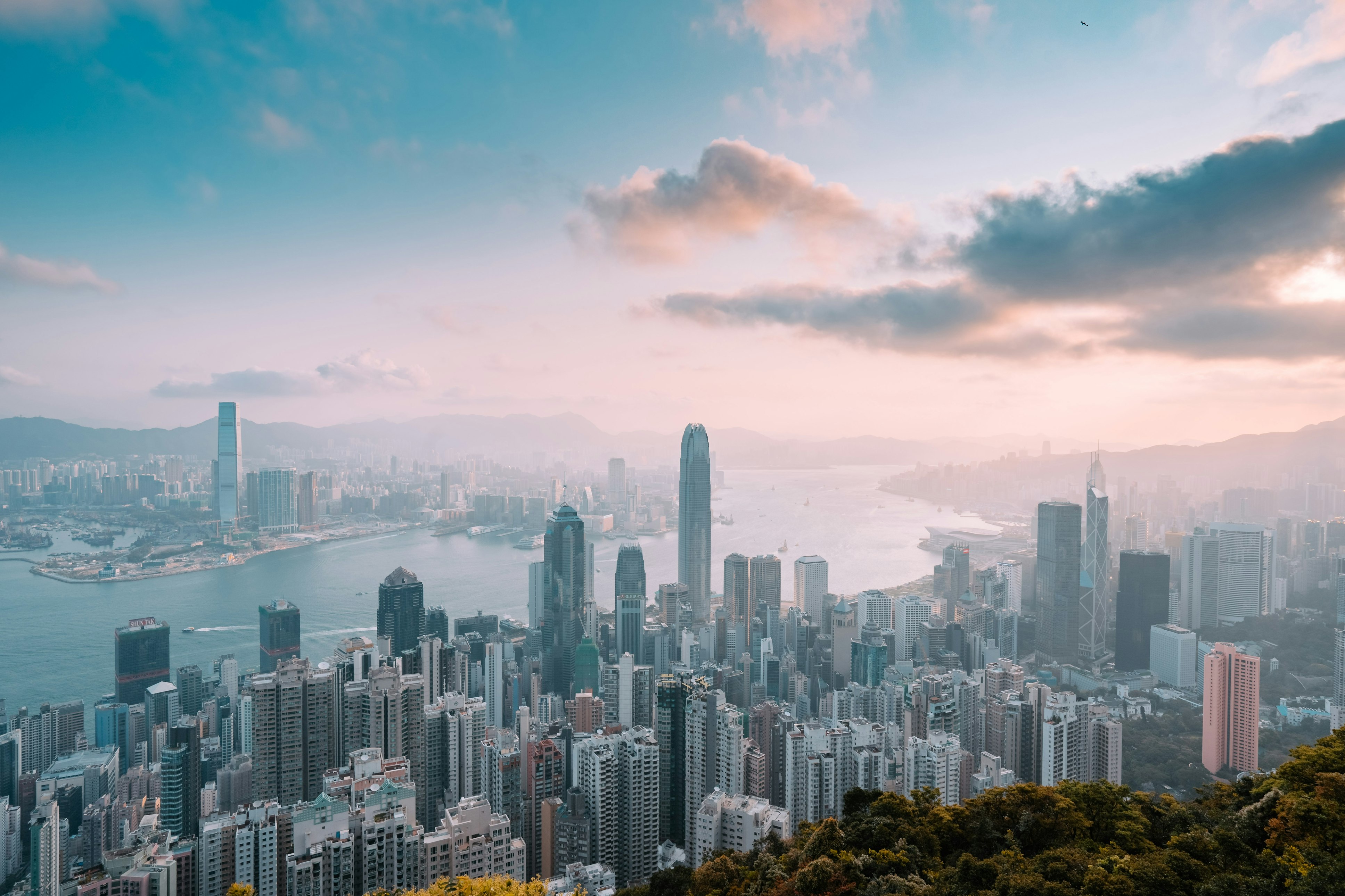 關於 Teachify 及經營團隊